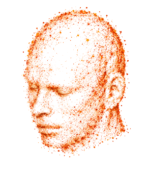 Individual head model used for MRI coregistration